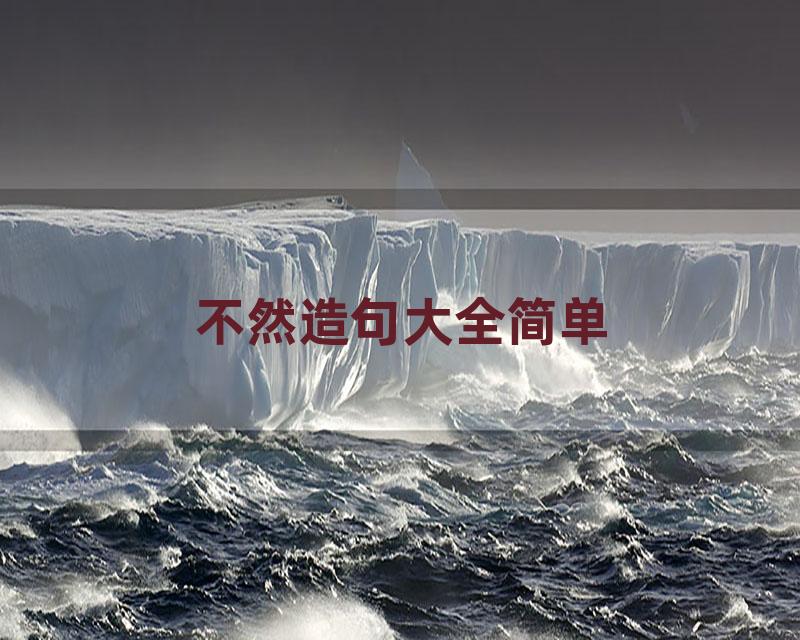 不然造句大全简单