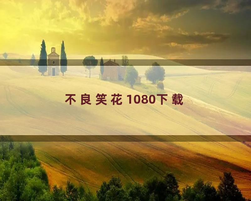 不良笑花1080下载
