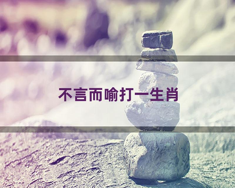 不言而喻打一生肖