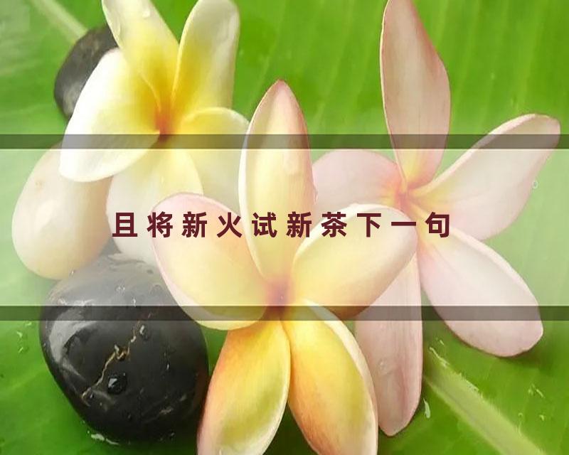 且将新火试新茶下一句
