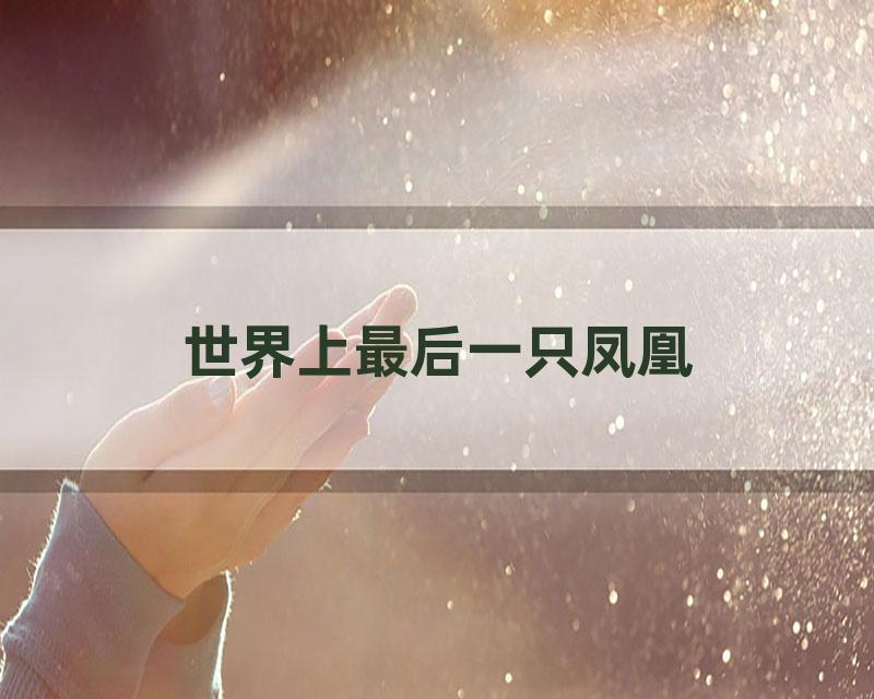 世界上最后一只凤凰