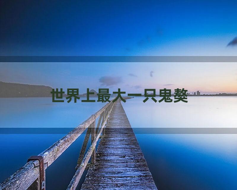 世界上最大一只鬼獒