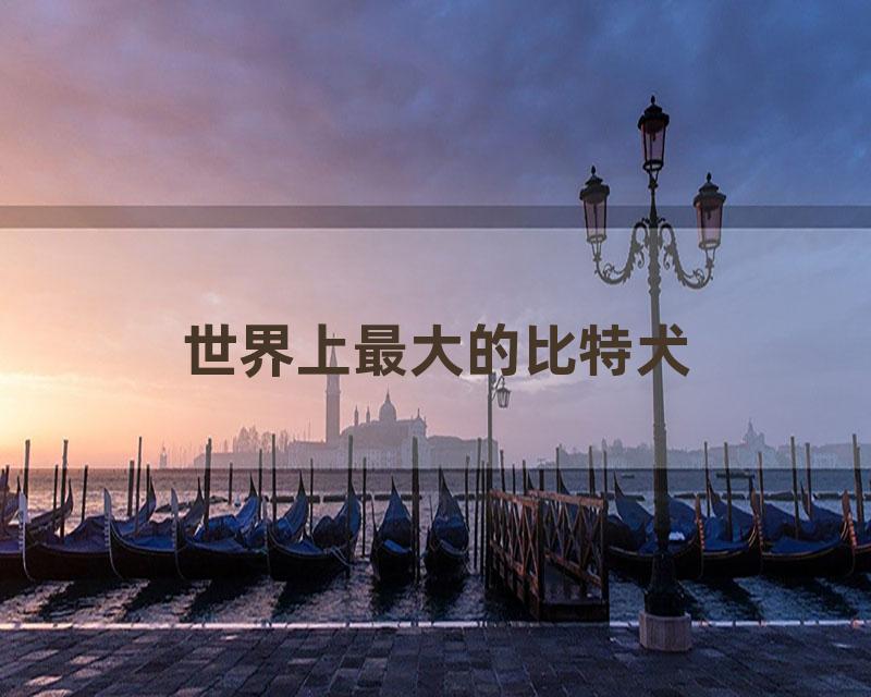 世界上最大的比特犬