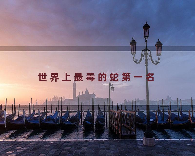 世界上最毒的蛇第一名