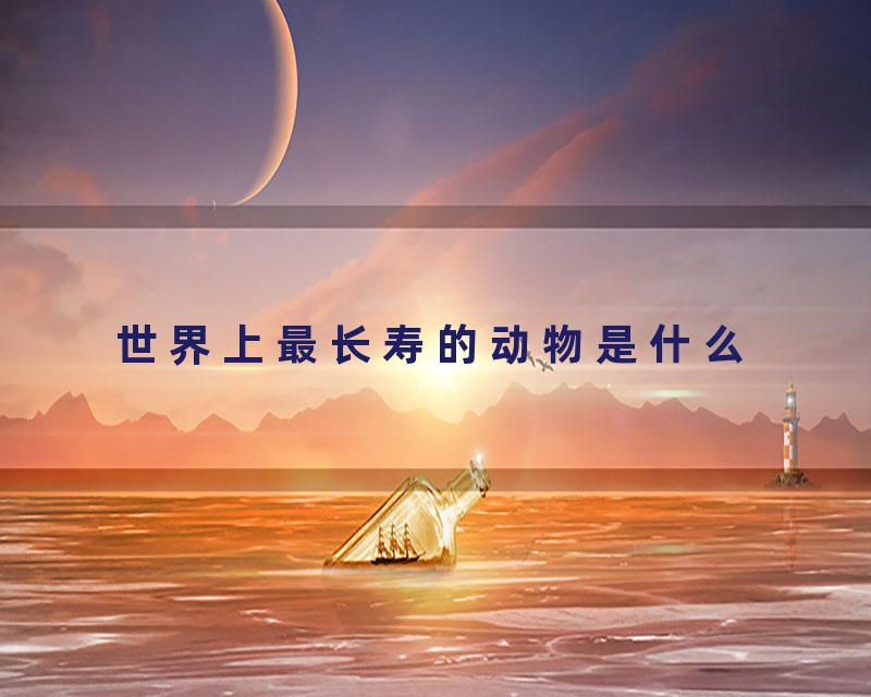 世界上最长寿的动物是什么