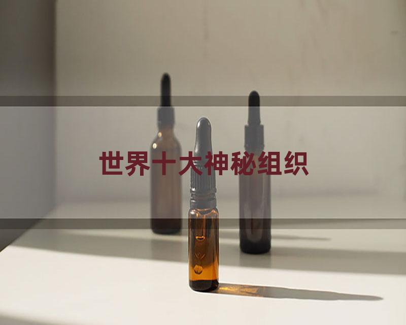 世界十大神秘组织