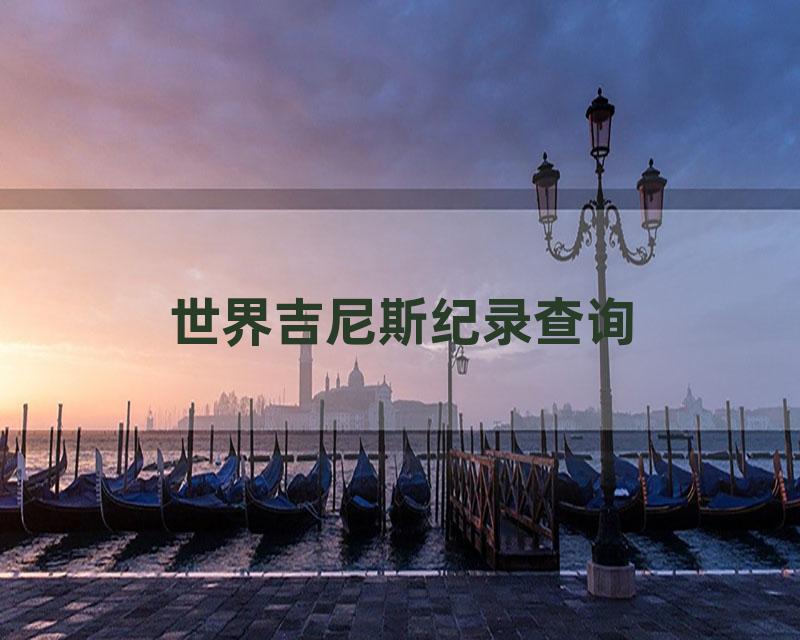 世界吉尼斯纪录查询