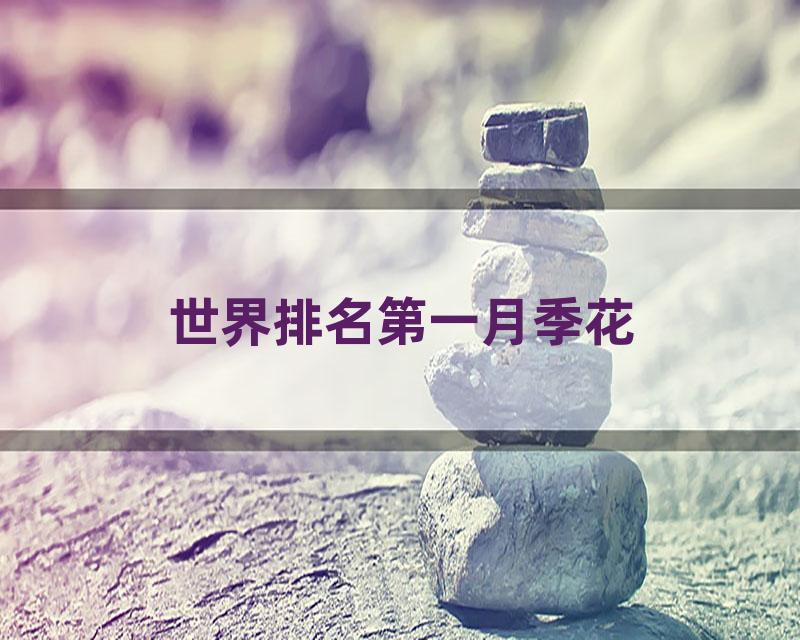 世界排名第一月季花