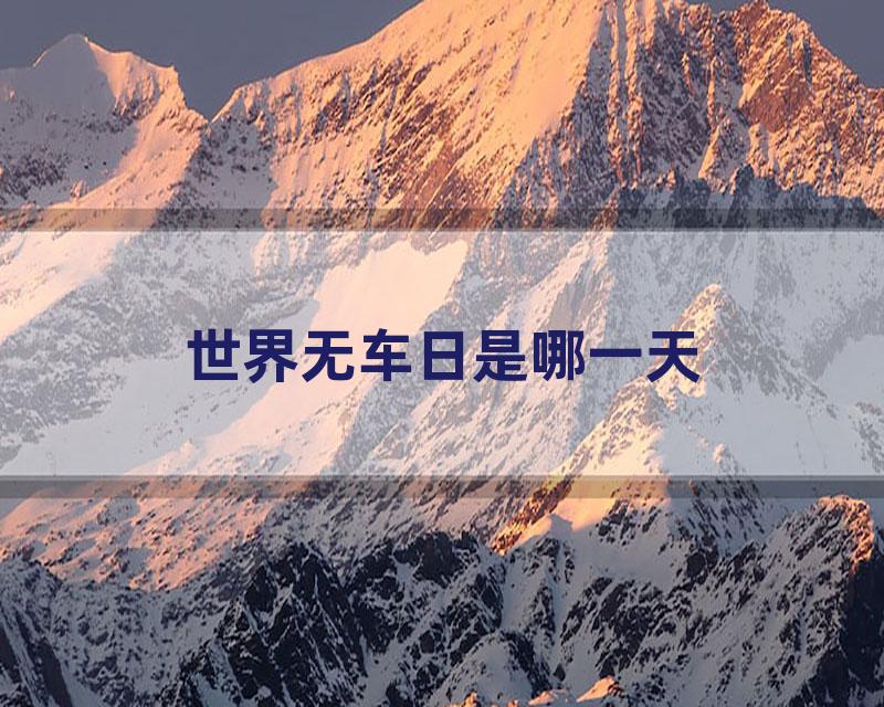 世界无车日是哪一天