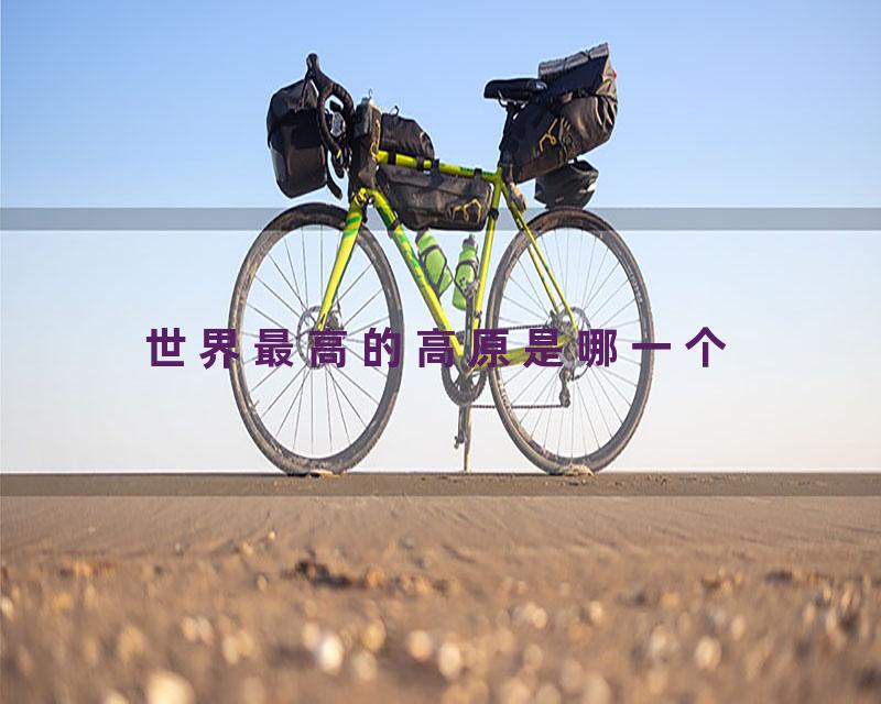 世界最高的高原是哪一个