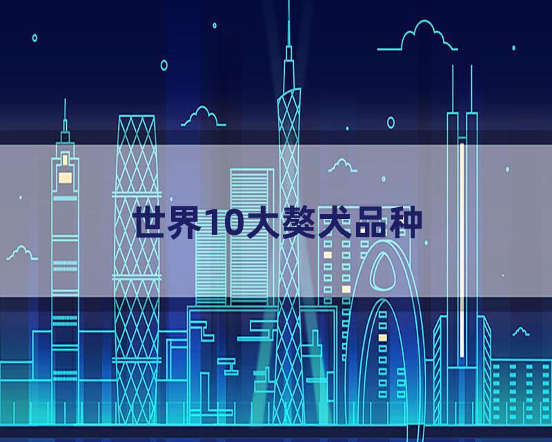 世界10大獒犬品种