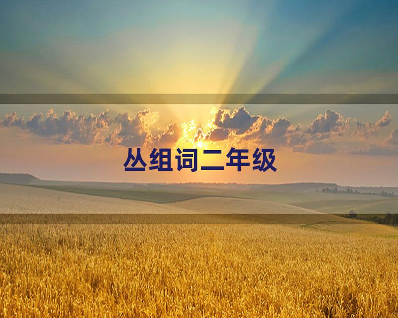 丛组词二年级