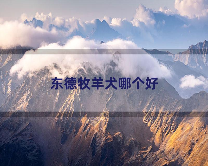 东德牧羊犬哪个好