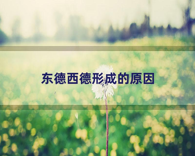 东德西德形成的原因