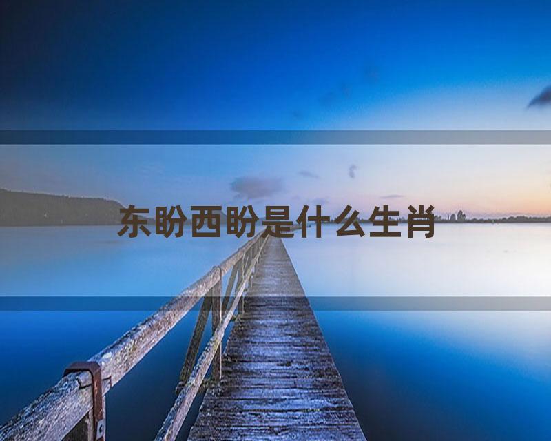 东盼西盼是什么生肖