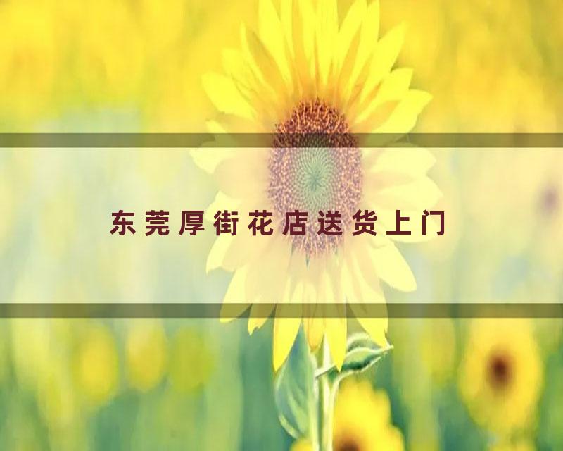 东莞厚街花店送货上门