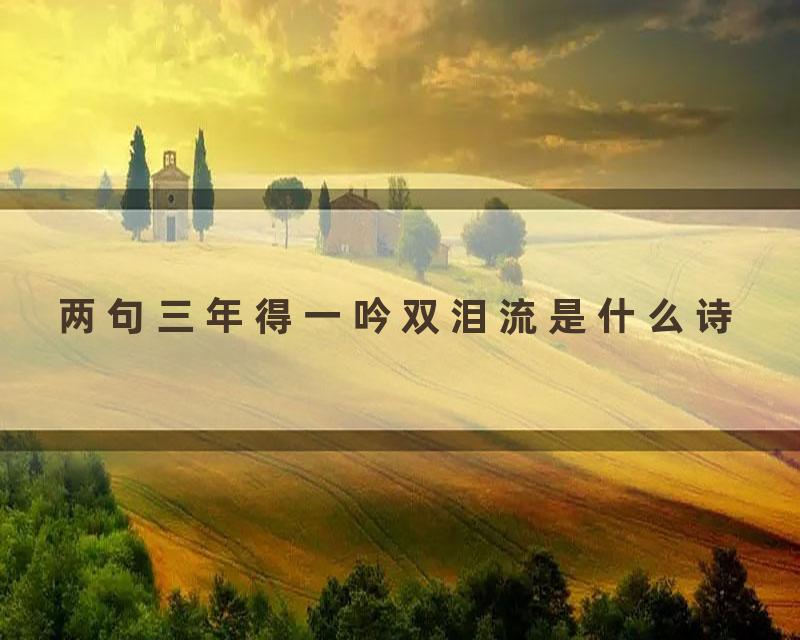两句三年得一吟双泪流是什么诗