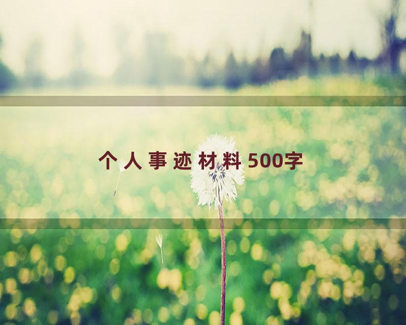 个人事迹材料500字