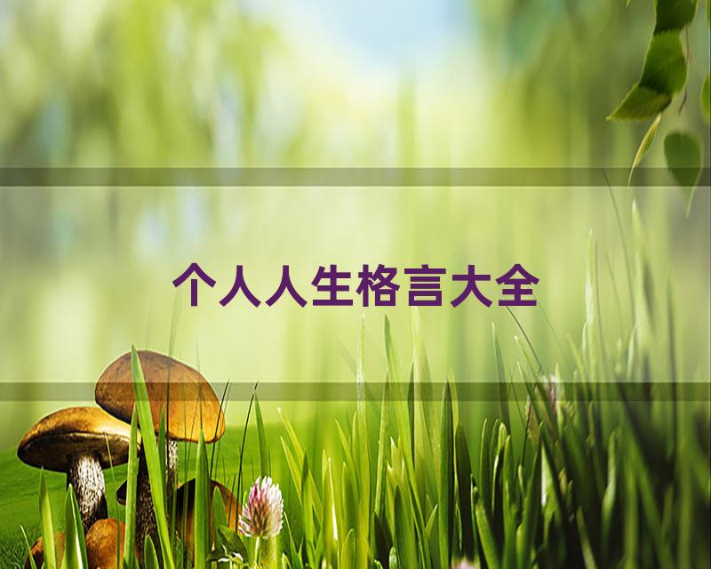 个人人生格言大全