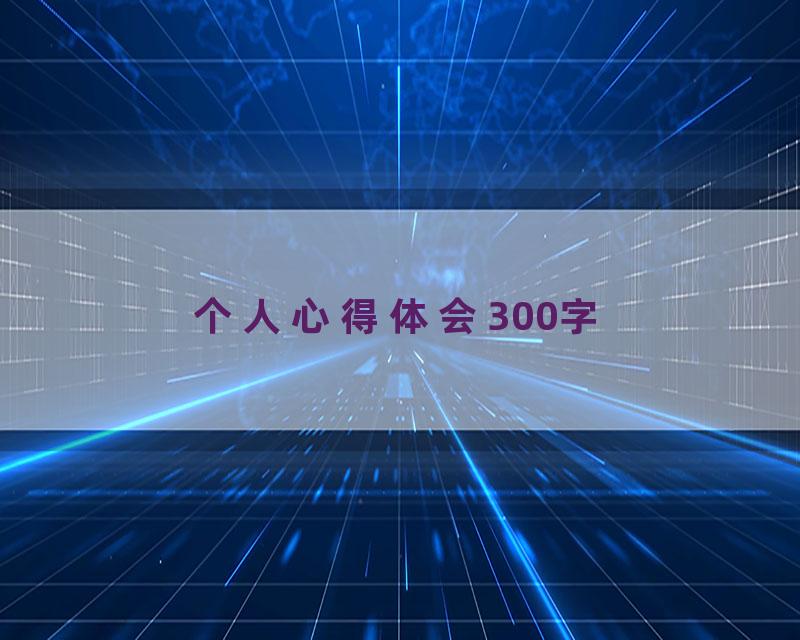 个人心得体会300字