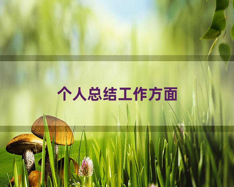 个人总结工作方面