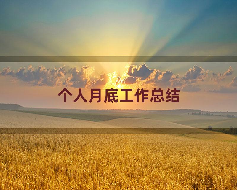 个人月底工作总结