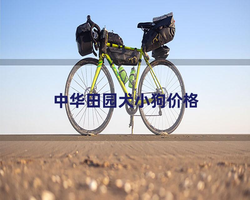 中华田园犬小狗价格