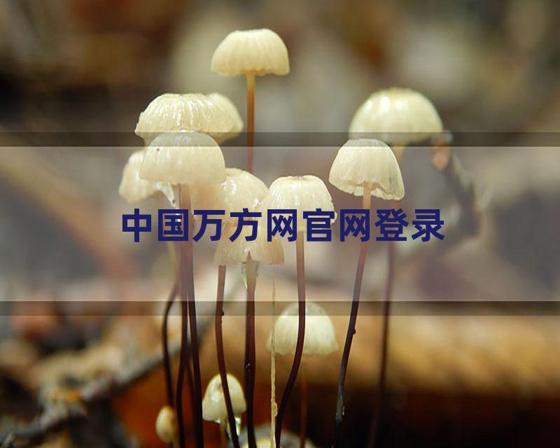 中国万方网官网登录