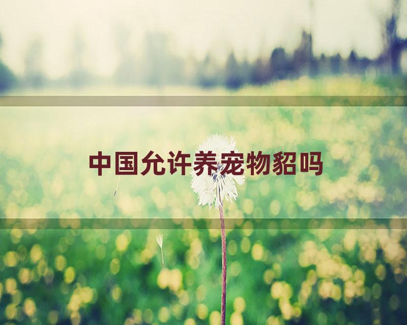 中国允许养宠物貂吗