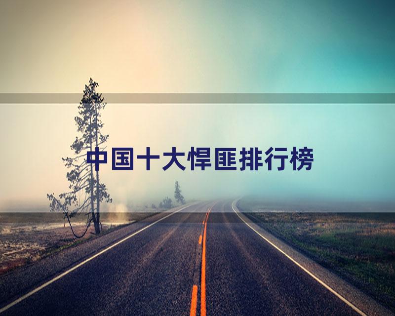 中国十大悍匪排行榜