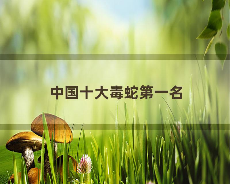 中国十大毒蛇第一名