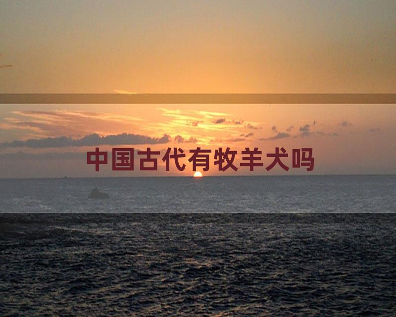 中国古代有牧羊犬吗