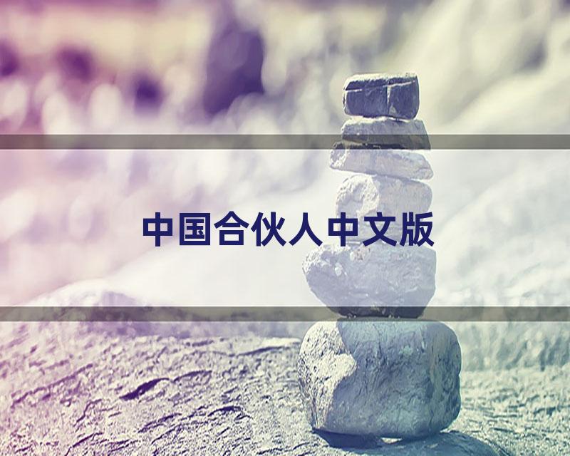 中国合伙人中文版