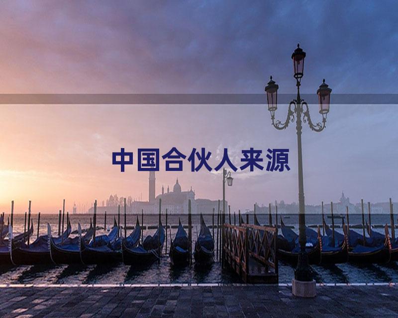 中国合伙人来源