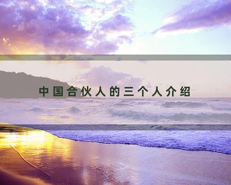 中国合伙人的三个人介绍