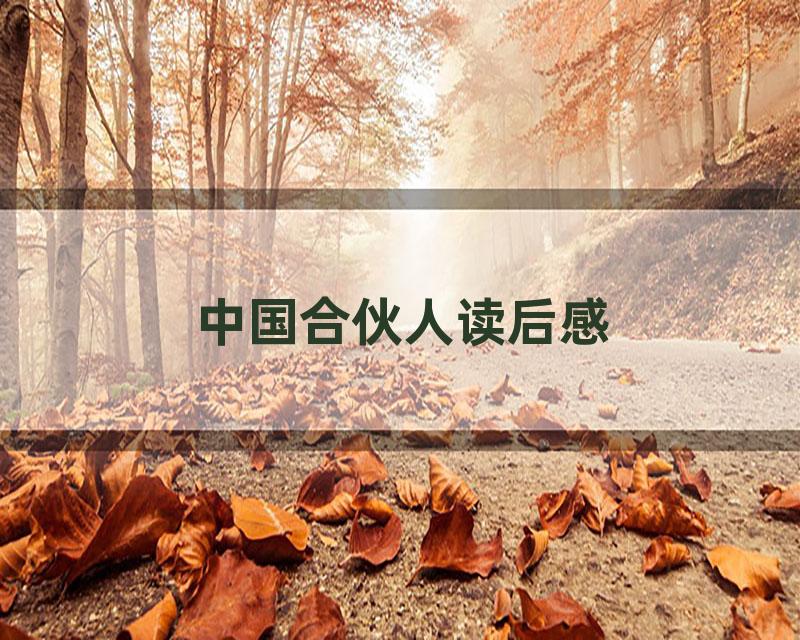 中国合伙人读后感