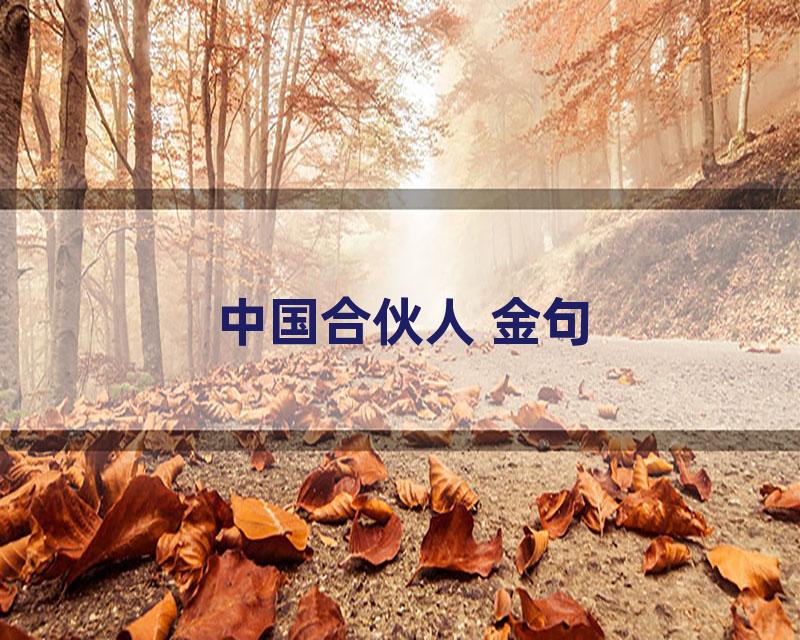 中国合伙人 金句