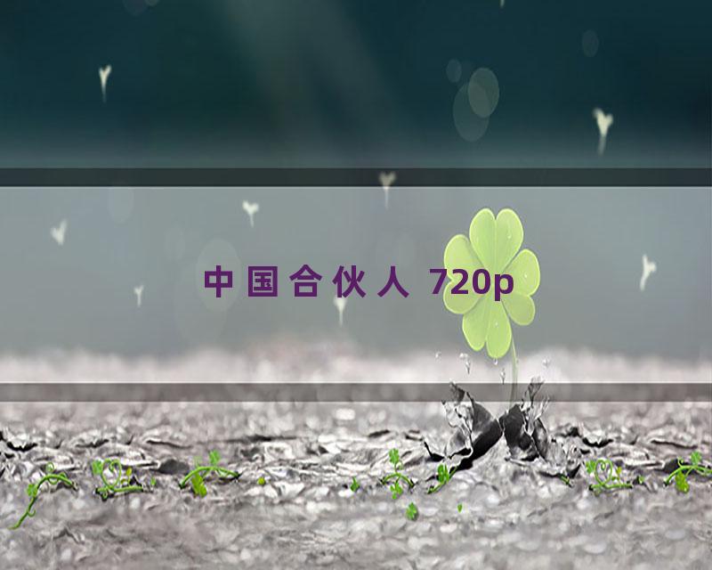 中国合伙人 720p
