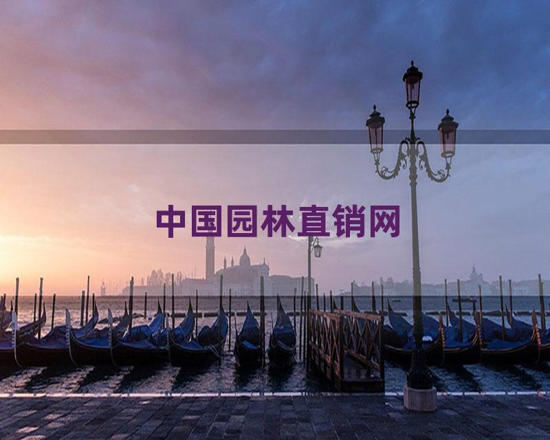 中国园林直销网