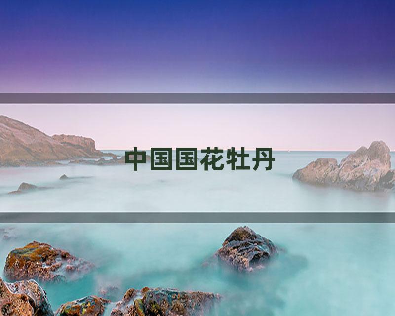 中国国花牡丹
