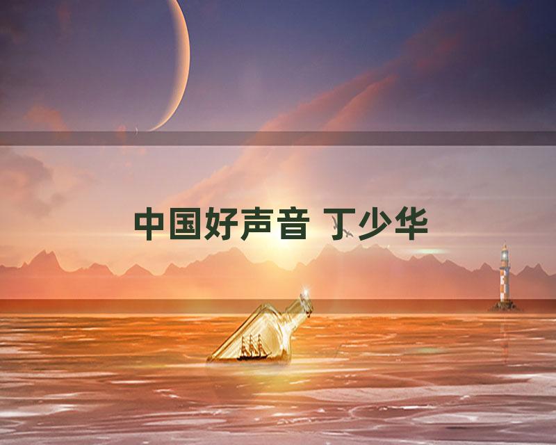 中国好声音 丁少华