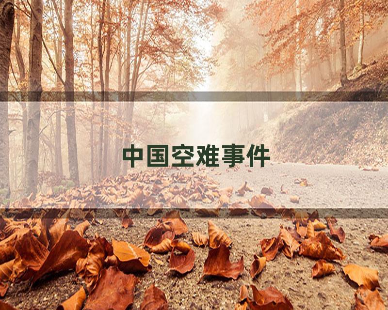 中国空难事件