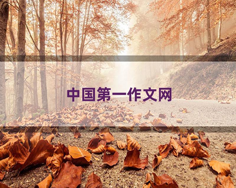 中国第一作文网