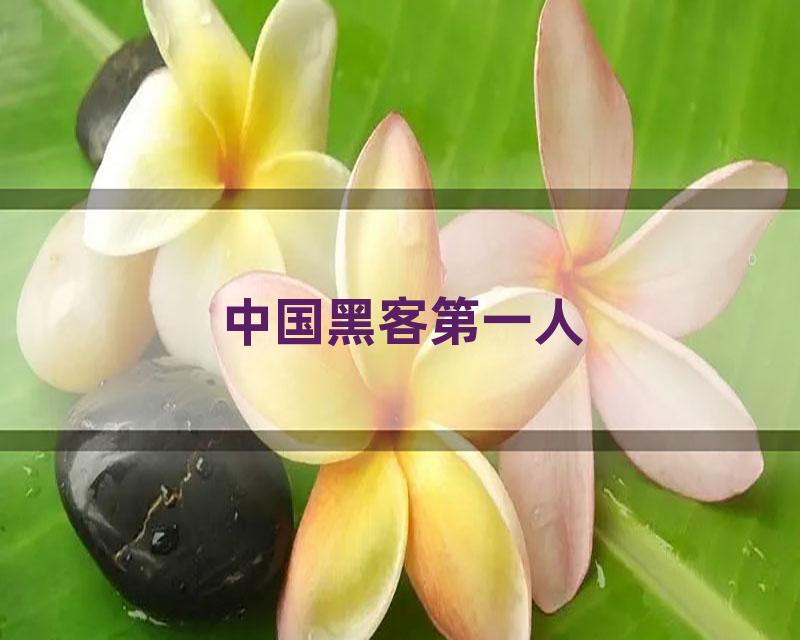 中国黑客第一人
