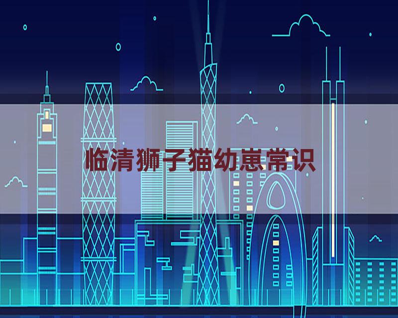 临清狮子猫幼崽常识