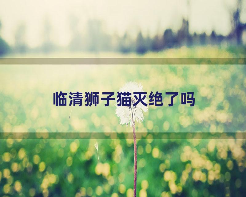 临清狮子猫灭绝了吗