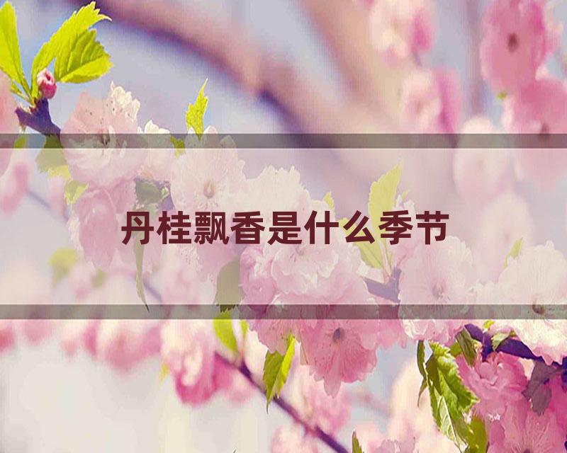 丹桂飘香是什么季节