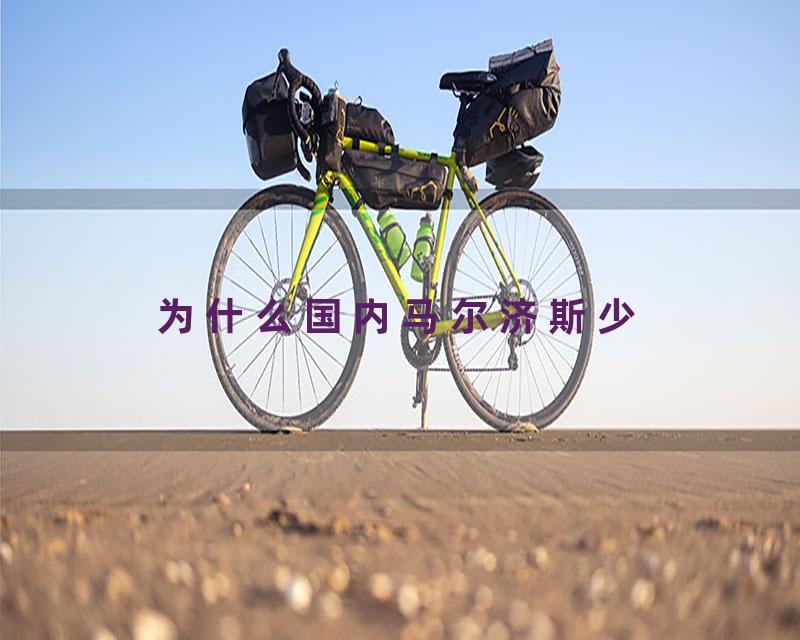 为什么国内马尔济斯少