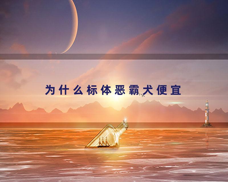 为什么标体恶霸犬便宜