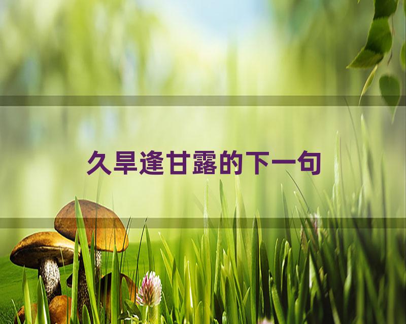 久旱逢甘露的下一句